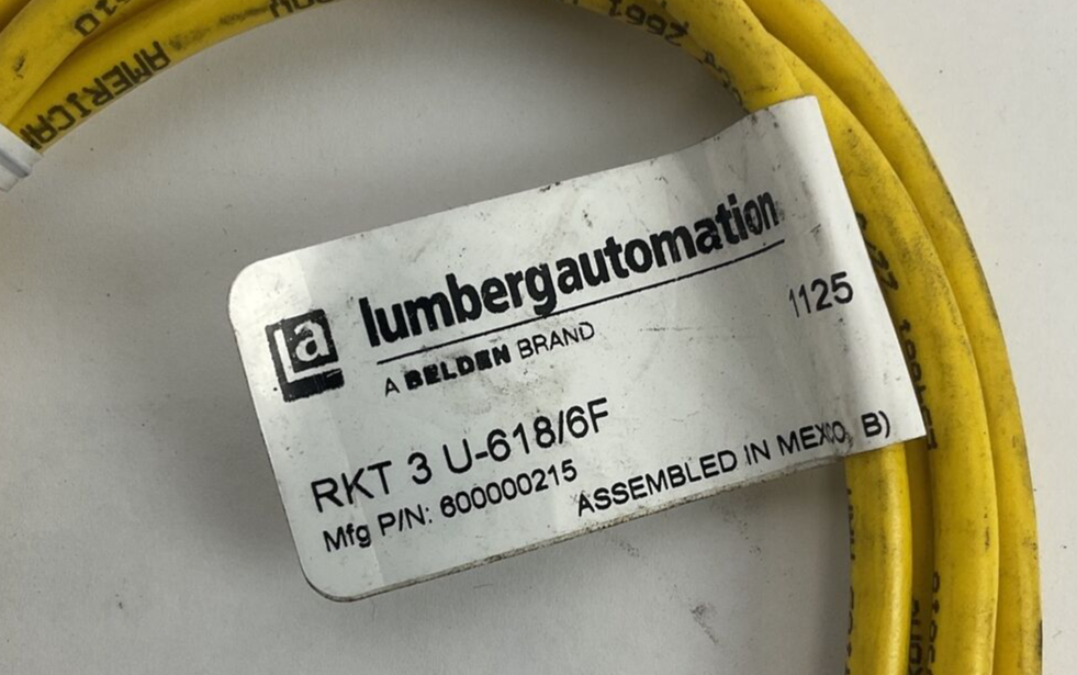 LUMBERGAUTOMATION RKT 3 U-618/6F CORD CABLE 4A 250V