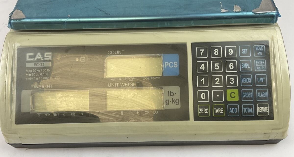 CAS CORPORATION EC-11 60LBS 15VDC SCALE **NO CORD**