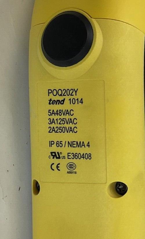 R&M MATERIALS HANDLING POQ202Y PENDANT CONTROL 5A 48VAC