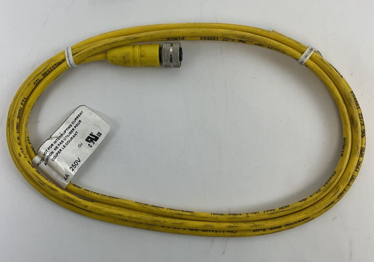 LUMBERGAUTOMATION RKT 3 U-618/6F CORD CABLE 4A 250V