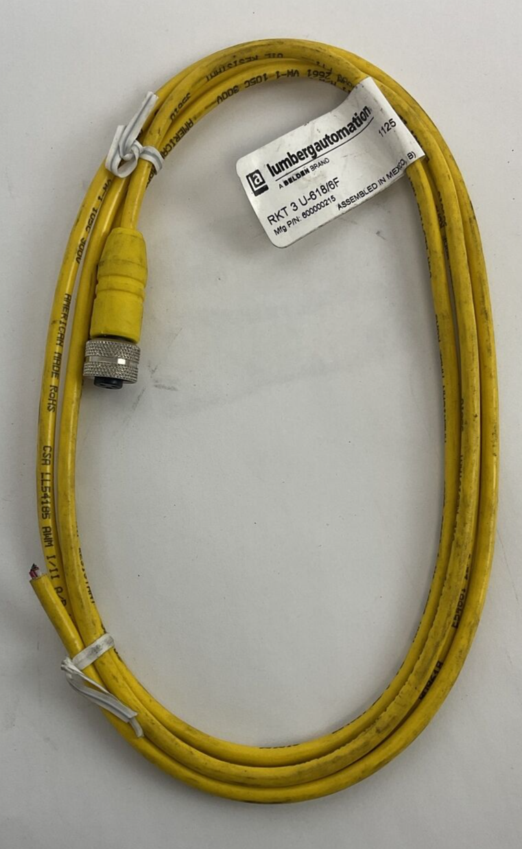 LUMBERGAUTOMATION RKT 3 U-618/6F CORD CABLE 4A 250V