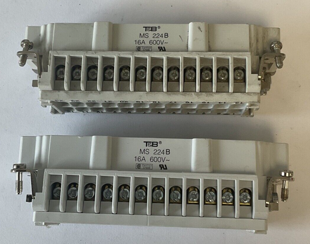 T&B MS224B 24PIN MALE TERMINAL PLUG 16A 600VAC ***LOTOF2***