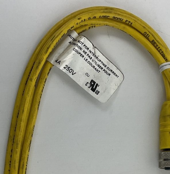 LUMBERGAUTOMATION RKT 3 U-618/6F CORD CABLE 4A 250V