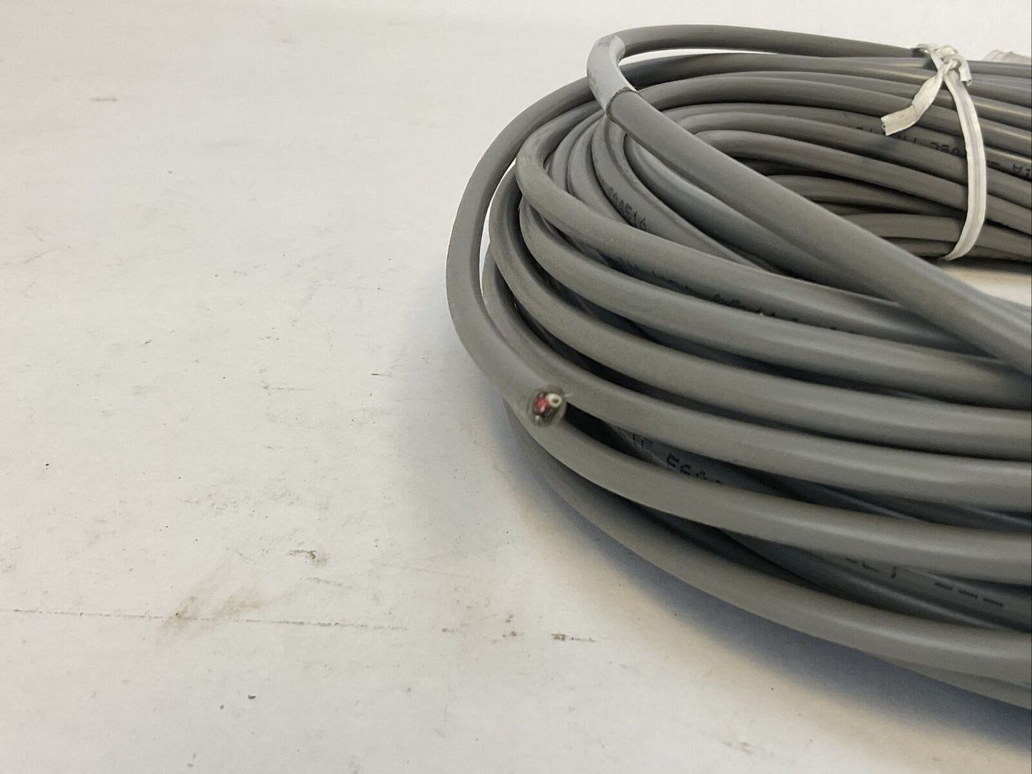 WINTRISS 4337301 ASSY M12 CABLE