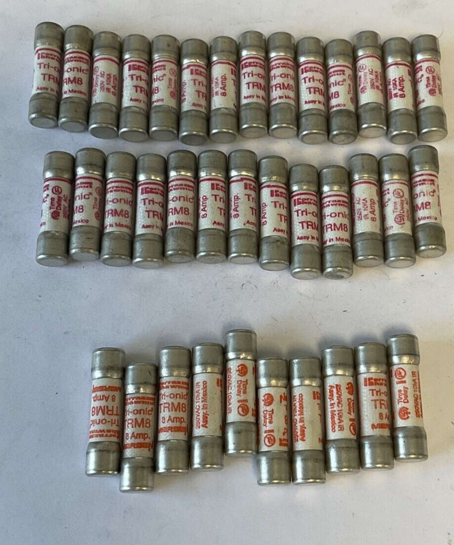 FERRAZ SHAWMUT TRM8 8A FUSE 250VAC ***LOTOF37***
