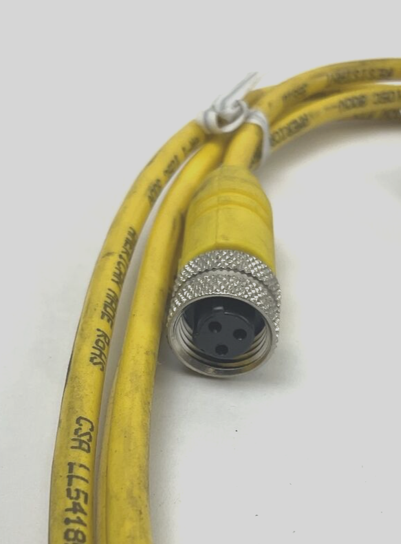 LUMBERGAUTOMATION RKT 3 U-618/6F CORD CABLE 4A 250V