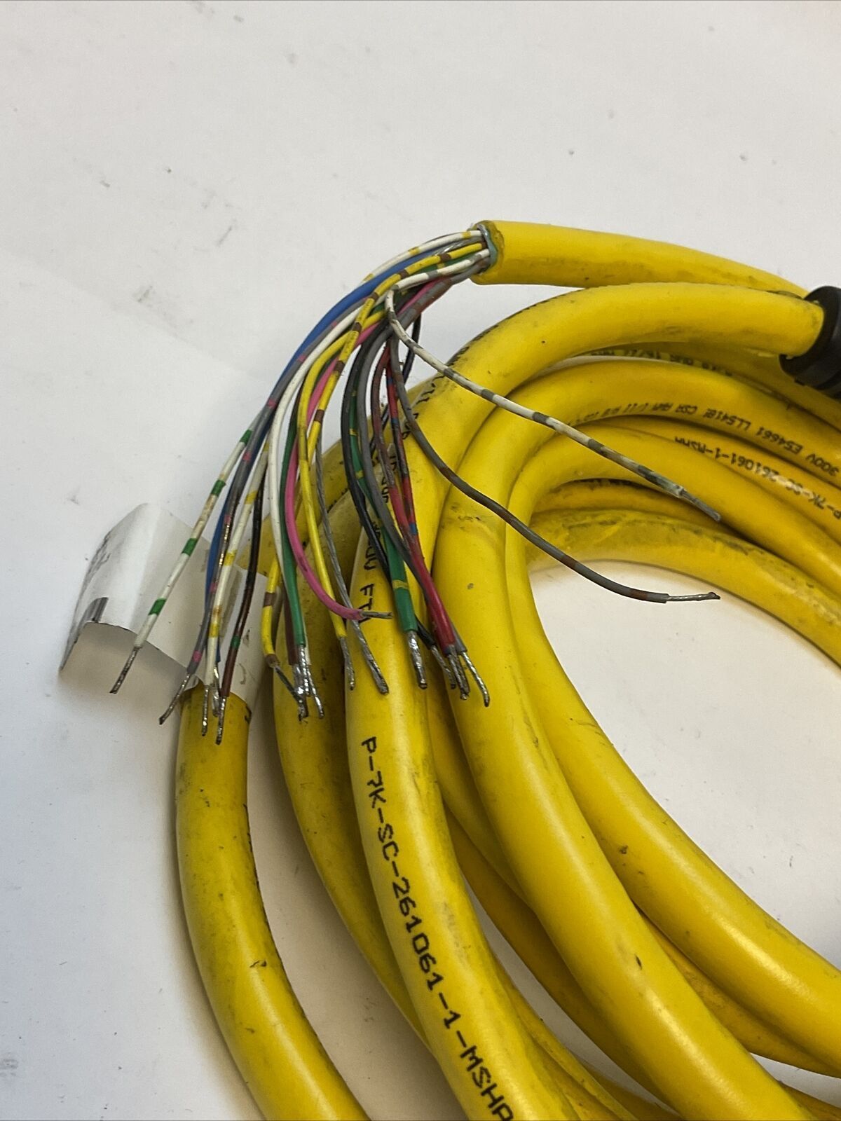 TURCK CKM 19-19-5 U4701-03 CORDSET / CABLE