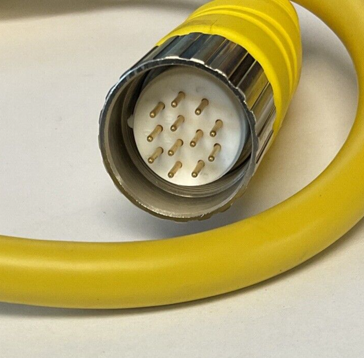 ALLEN BRADLEY 899M-F12AHMU-0M6 PATCHCORD SER.A 12PIN 250V 8A4