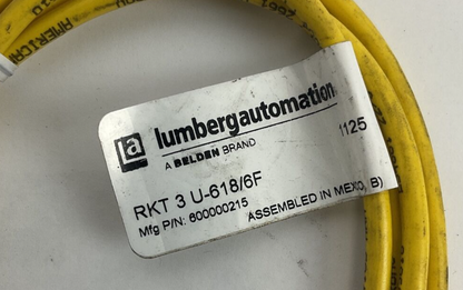 LUMBERGAUTOMATION RKT 3 U-618/6F CORD CABLE  4A 250V
