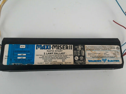 VALMONT ELECTRIC MAXI-MISER II 2 LAMP BALLAST