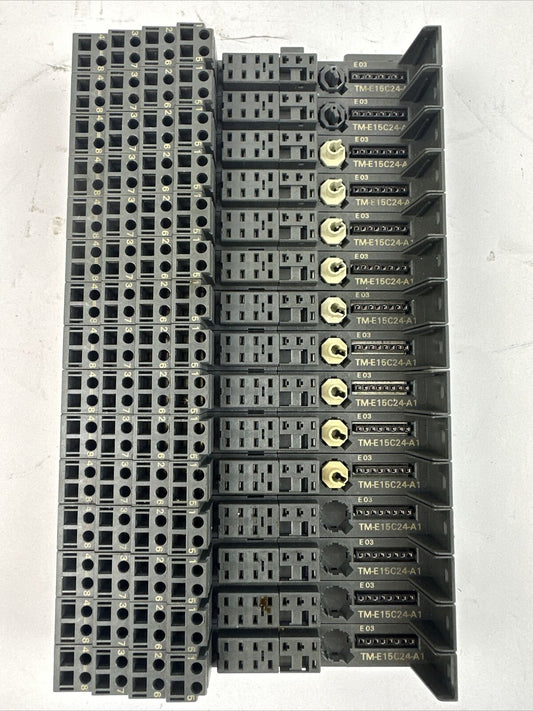 SIEMENS 6ES7 193-4CA30-0AA0 TERMINAL MODULE TM-E15C24-A1 (LOT OF 15)