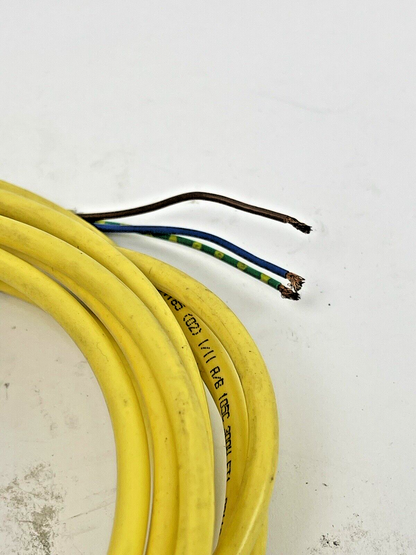 WOODHEAD / BRAD  - 1300060345 - 5M 18/3 AWG PVC CORDSET - REPLACES P/N 40903-E