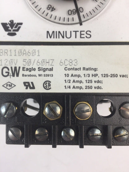 GW EAGLE SIGNAL BR110A601 TIMER 120V 50/60HZ 10A 125-250VAC 1/3HP 1/4A 250VDC