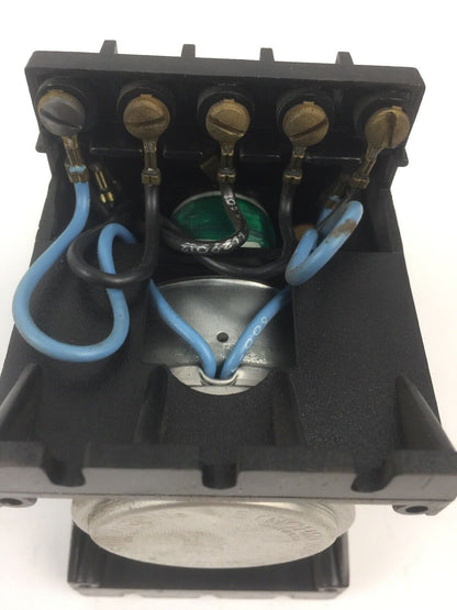 GW EAGLE SIGNAL BR111A6 TIMER 120V 60HZ 10A 125-250VAC 1/3HP 1/4A 250VDC