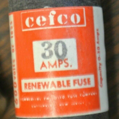 CEFCO REN30 TIME-LAG RENEWABLE FUSE / 30A / 600V / NEW SURPLUS / EACH