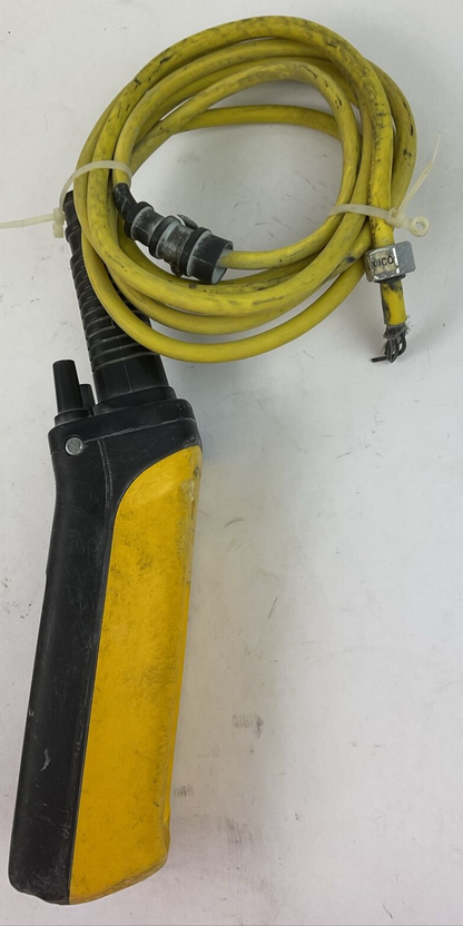 DEMAG CSA ENC 4 COF CSA 4 150VAC PENDANT