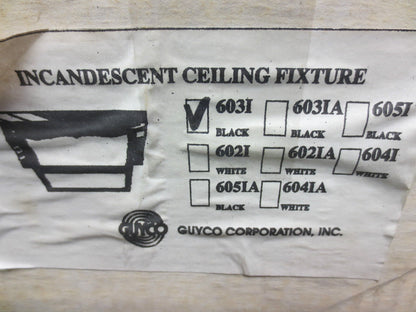 GUYCO 6031 INCANDESCENT CEILING FIXTURE, BLACK - NEW in BOX