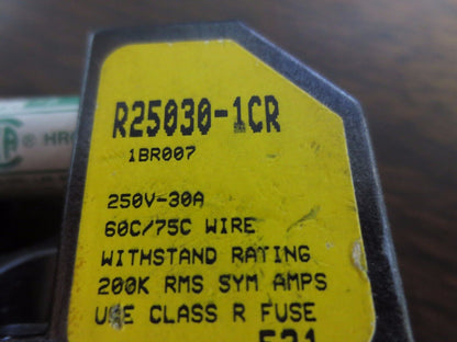 BUSS R25030-1CR FUSE BLOCK w/ FUSE (FRN-R-25)