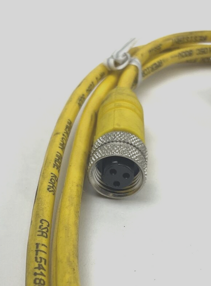 LUMBERGAUTOMATION RKT 3 U-618/6F CORD CABLE  4A 250V