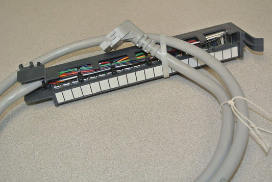 ALLEN-BRADLEY1492-CABLE010F / PRE-WIRED CABLE for 1771 DIGITAL I/O / 1m LONG