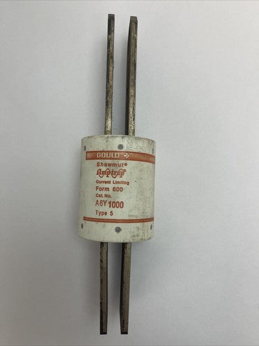GOULD SHAWMUT A6Y1000 AMP-TRAP CURRENT LIMITING FUSE FORM 600 1000A 600VAC TYPE0