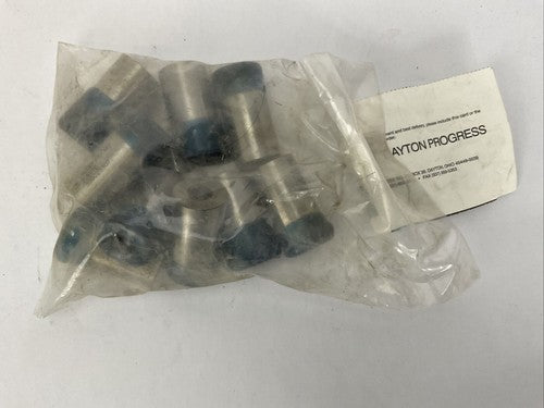 DAYTON VNX87 162 M2 P.3970 PUNCH (BAG OF 9)1