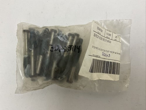 DAYTON KPX25 S250 M2 P.0930 PUNCH (BAG OF 20)0