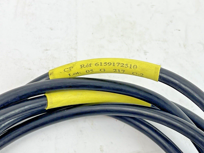 DESOUTTER - 6159172510 - TORQUE CABLE - CLPNS 2M L - GEORGES RENAULT CORDSET3