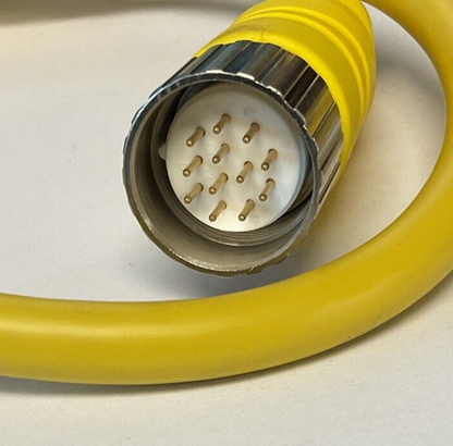 ALLEN BRADLEY 899M-F12AHMU-0M6 PATCHCORD SER.A 12PIN 250V 8A4