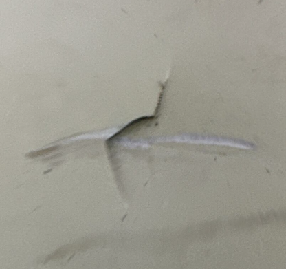 YASKAWA SGDS-08A01A SERVOPACK OUTPUT 3PH 0-230VAC 5.5A 750W INPUT 1PH 200-230VAC7