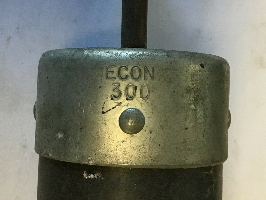 ECONOMY ECN 300 ECON DUAL ELEMENT 250V 300AMP 2