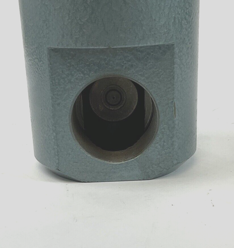 GOIZPER 70206 ROTARY UNION5