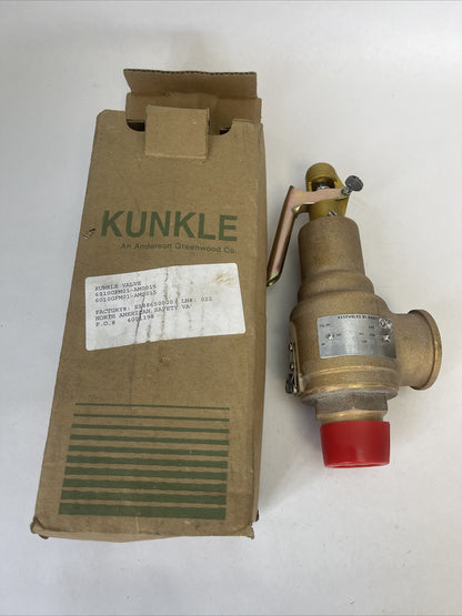 KUNKLE 6010GFM01-AM0015 VALVE 15.0PSI 0