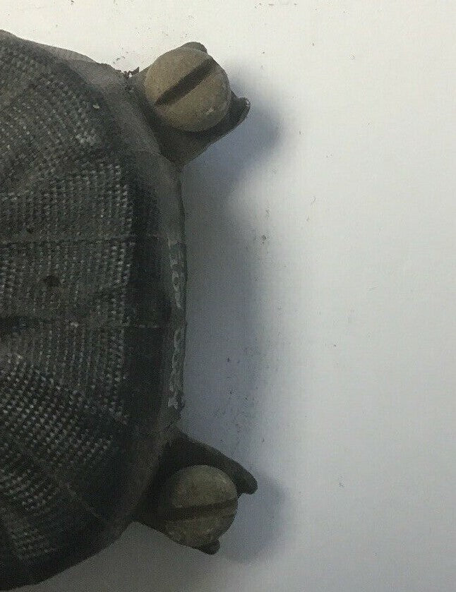 SCHNEIDER ELECTRIC 2491-S8-P30A COIL120V-60HZ, 110V-50HZ***LOTOF2***3