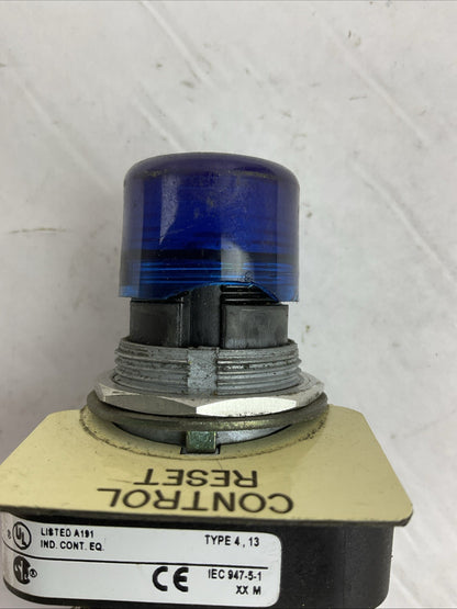 ALLEN BRADLEY 800T-QA24BA2 SER T PUSH BUTTON 24VDC